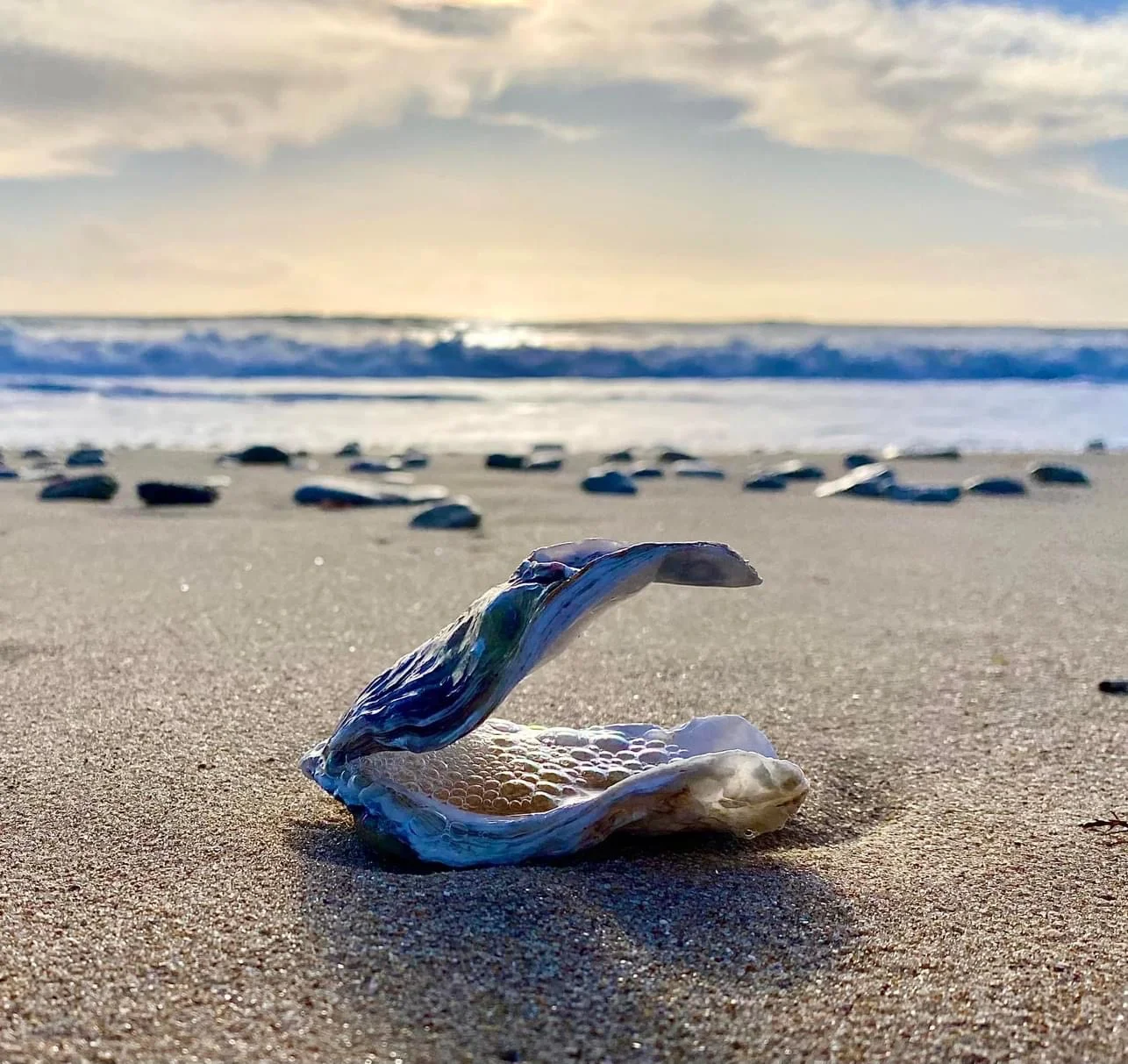 Les Villas des Phares